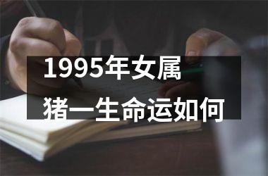 1995年女属猪一生命运如何