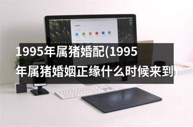 1995年属猪婚配(1995年属猪婚姻正缘什么时候来到)
