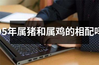 95年属猪和属鸡的相配吗