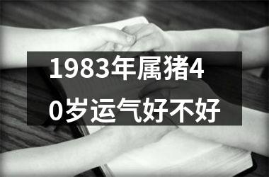 1983年属猪40岁运气好不好