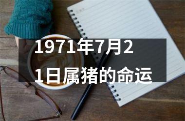 1971年7月21日属猪的命运