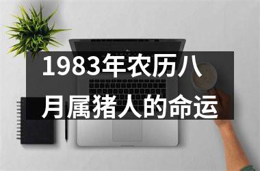 1983年农历八月属猪人的命运