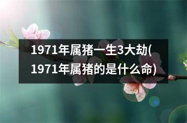 1971年属猪一生3大劫(1971年属猪的是什么命)