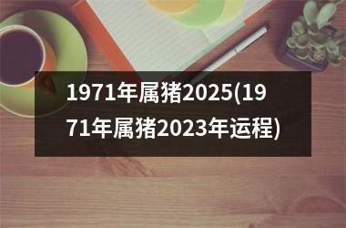 1971年属猪2025(1971年属猪2025年运程)
