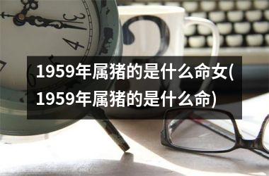 1959年属猪的是什么命女(1959年属猪的是什么命)