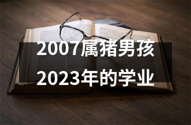 2007属猪男孩2023年的学业