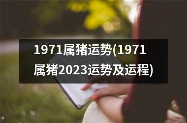 1971属猪运势(1971属猪2025运势及运程)