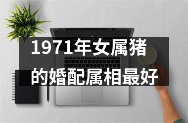 1971年女属猪的婚配属相最好