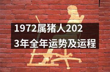 1972属猪人2025年全年运势及运程