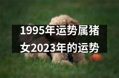 <h3>1995年运势属猪女2025年的运势
