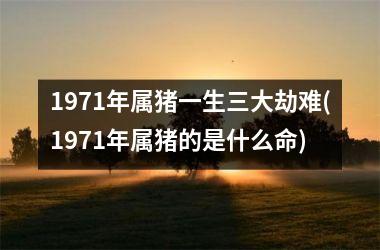1971年属猪一生三大劫难(1971年属猪的是什么命)