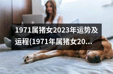 1971属猪女2025年运势及运程(1971年属猪女2025年运势及运程每月运程)