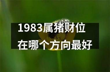 1983属猪财位在哪个方向最好