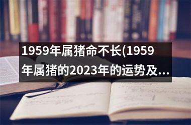 1959年属猪命不长(1959年属猪的2025年的运势及运程)