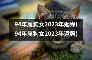94年属狗女2023年姻缘(94年属狗女2023年运势)