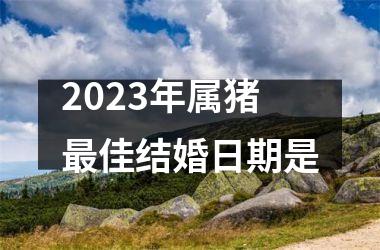 2025年属猪最佳结婚日期是