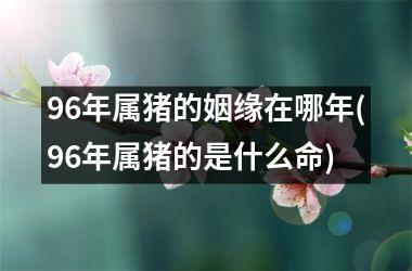 96年属猪的姻缘在哪年(96年属猪的是什么命)