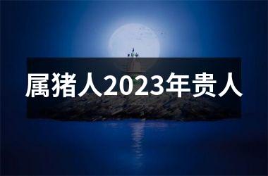 属猪人2025年贵人