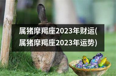 属猪摩羯座2025年财运(属猪摩羯座2025年运势)