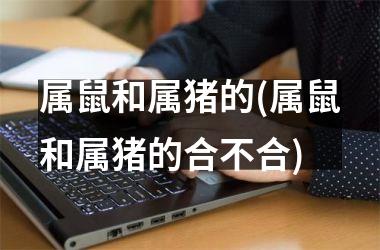 属鼠和属猪的(属鼠和属猪的合不合)