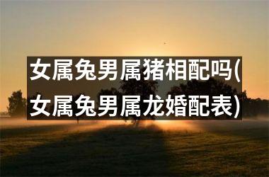 女属兔男属猪相配吗(女属兔男属龙婚配表)