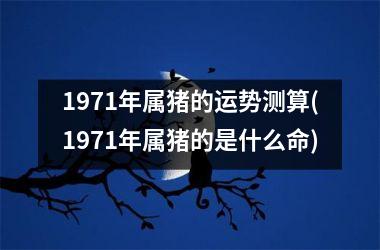 1971年属猪的运势测算(1971年属猪的是什么命)