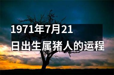 1971年7月21日出生属猪人的运程