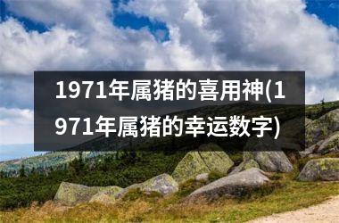 1971年属猪的喜用神(1971年属猪的幸运数字)