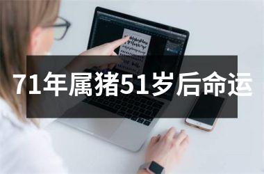 71年属猪51岁后命运