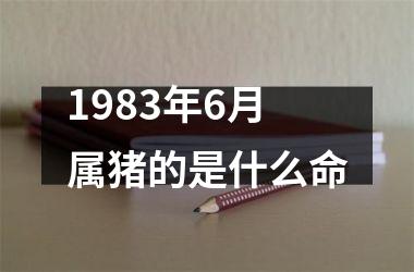 1983年6月属猪的是什么命