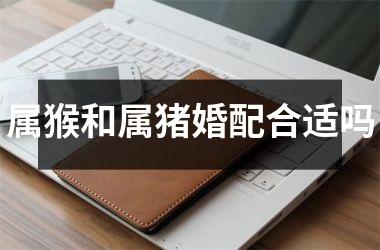 属猴和属猪婚配合适吗