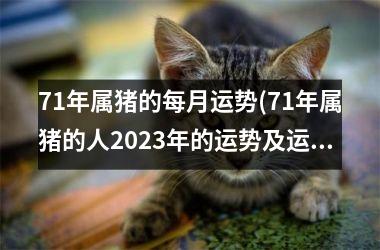 71年属猪的每月运势(71年属猪的人2025年的运势及运程)