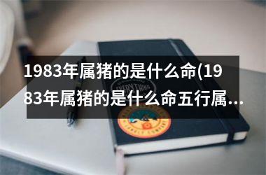 1983年属猪的是什么命(1983年属猪的是什么命五行属什么)