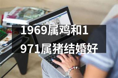 <h3>1969属鸡和1971属猪结婚好