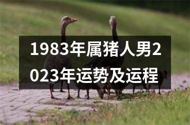 1983年属猪人男2025年运势及运程