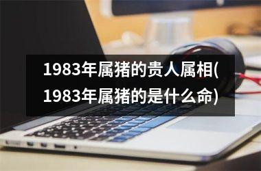 1983年属猪的贵人属相(1983年属猪的是什么命)