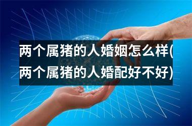 <h3>两个属猪的人婚姻怎么样(两个属猪的人婚配好不好)
