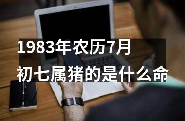<h3>1983年农历7月初七属猪的是什么命