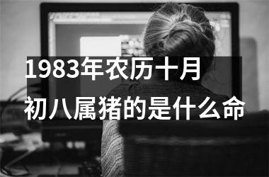 1983年农历十月初八属猪的是什么命