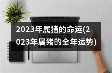 2025年属猪的命运(2025年属猪的全年运势)