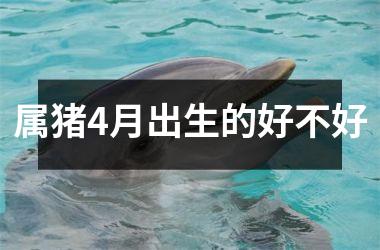 属猪4月出生的好不好