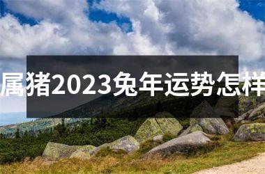 属猪2023兔年运势怎样