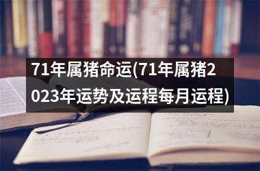 71年属猪命运(71年属猪2025年运势及运程每月运程)