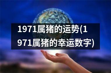 1971属猪的运势(1971属猪的幸运数字)