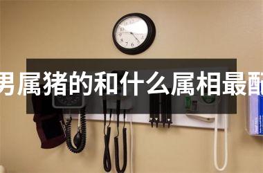 男属猪的和什么属相最配