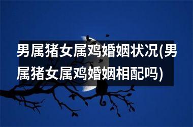 男属猪女属鸡婚姻状况(男属猪女属鸡婚姻相配吗)