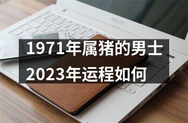 1971年属猪的男士2025年运程如何