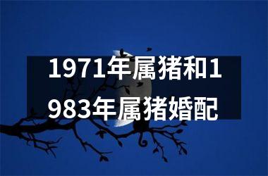 1971年属猪和1983年属猪婚配