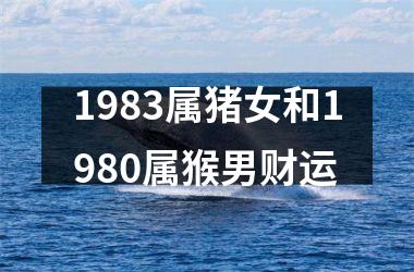 1983属猪女和1980属猴男财运