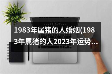 1983年属猪的人婚姻(1983年属猪的人2025年运势及运程)